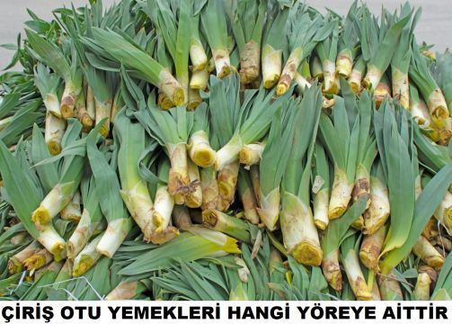 ÇİRİŞ OTU HANGİ YÖRENİN COĞRAFİ İŞARET TESCİLLİ ÜRÜNÜDÜR?